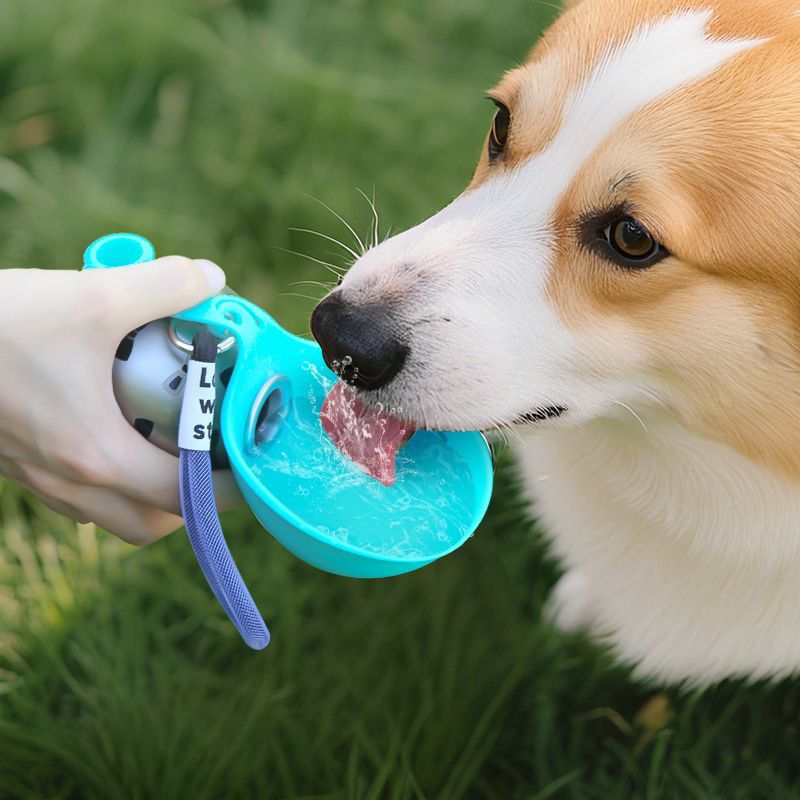 The AquaPup™ - 2-in-1 Foldable Pet Flask